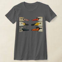 As muitas faces de pássaros de um cisne