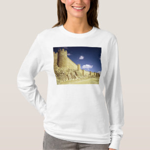 Camiseta As paredes da cidade