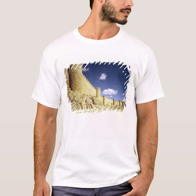 Camiseta As paredes da cidade (Frente)