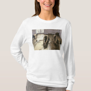 Camiseta As plainas do parquet, 1875