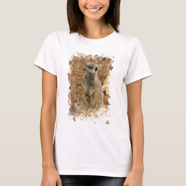 Camiseta As senhoras de Meerkat do bebê couberam o t-shirt (Frente)