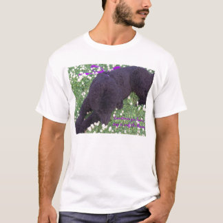 Camiseta Às vezes você hav…