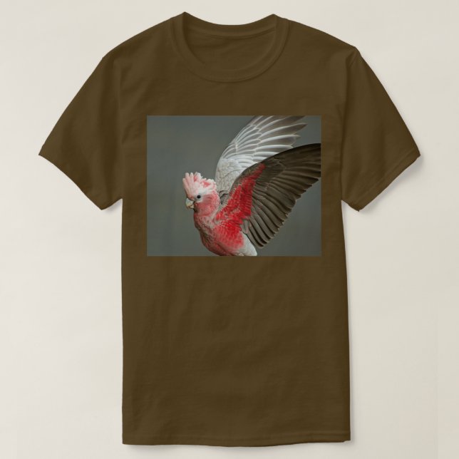 Camiseta Asas 2 (Frente do Design)
