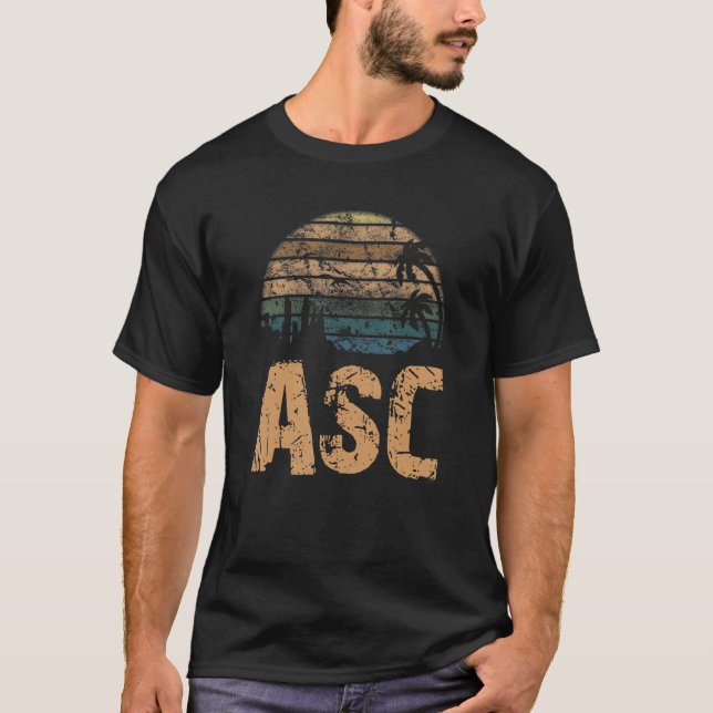 Camiseta ASC Vintage Sunset Distressed (Frente)