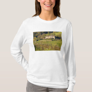 Camiseta Aschuito, uma fazenda em atividade que aceita hósp