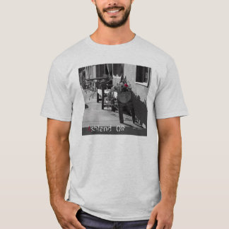 Camiseta Ashland, OU #!