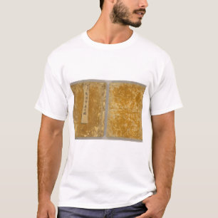 Camiseta Ásia 46