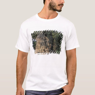 Camiseta Ásia, Camboja, Siem Reap. Enormes esculturas de pe