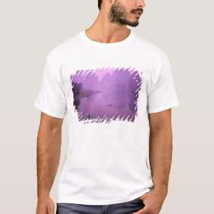 Camiseta Ásia, China, Guanxi, Yangshou. Pescadores em janga