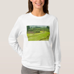 Camiseta Ásia, China, Província de Yunnan, Honghe. Banana