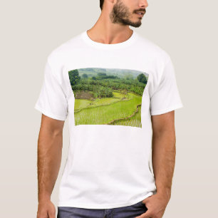 Camiseta Ásia, China, Província de Yunnan, Honghe. Banana