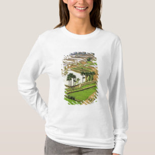 Camiseta Ásia, China, Yunnan, Honghe. Terraços de arroz pe