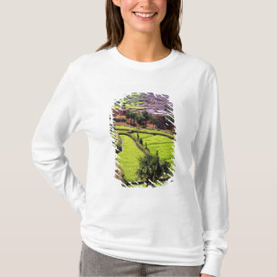 Camiseta Ásia, China, Yunnan, Honghe. Terraços de arroz pe