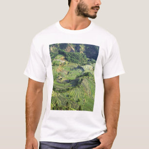 Camiseta Ásia, China, Yunnan, Yuanyang. Padrão de verde