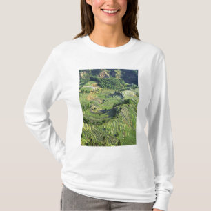 Camiseta Ásia, China, Yunnan, Yuanyang. Padrão de verde