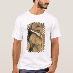 Camiseta Ásia, Índia, Parque Nacional de Nargahole. Indiano