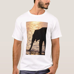 Camiseta Ásia, Índia, Parque Nacional Nargahole. Indiano
