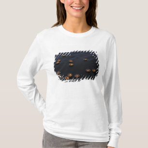Camiseta Ásia, Índia, Região de Varanasi. Oferendas no