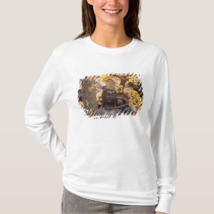 Camiseta Ásia, Japão, Buda