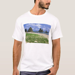 Camiseta Ásia, Japão, Okinawa, Costa de Yambaru, Mar