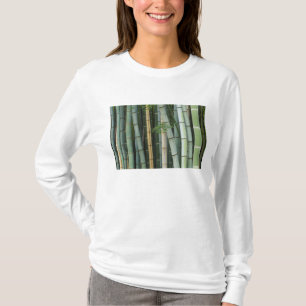 Camiseta Ásia, Japão, Quioto, Arashiyama, Sagano, Bambu