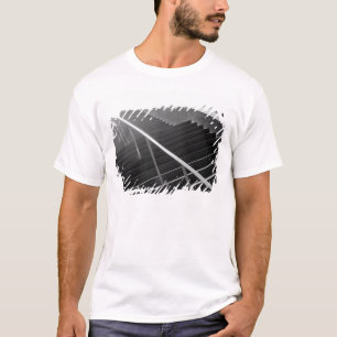 Camiseta Ásia, Japão, Tóquio. Escadas, Tokyo Internation