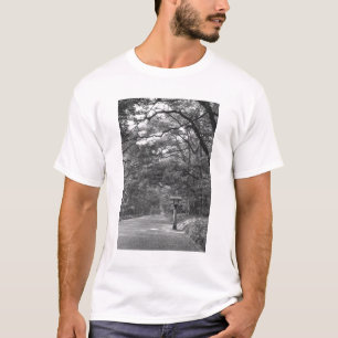 Camiseta Ásia, Japão, Tóquio, Jardins do Santuário Meiji,