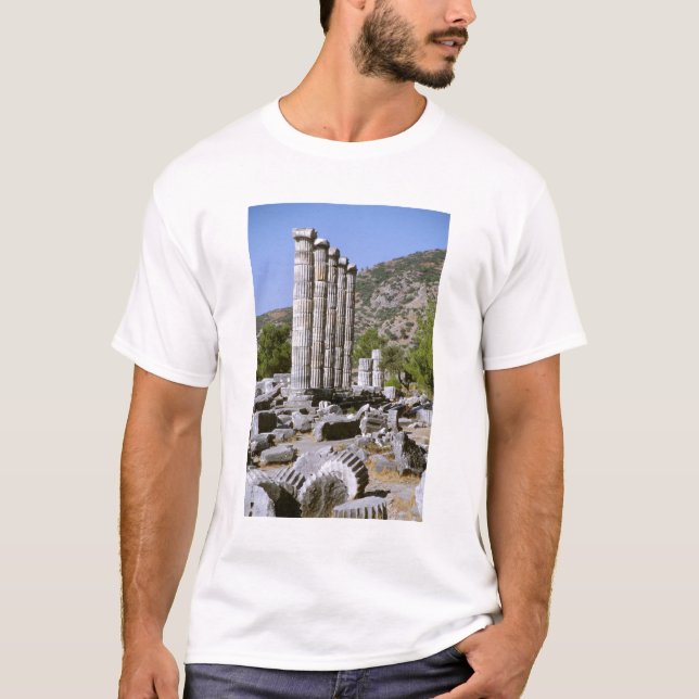 Camiseta Ásia, Médio Oriente, Turquia, Ephesus. Templo de (Frente)