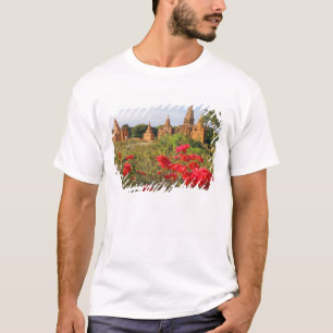 Camiseta Ásia, Mianmar (Birmânia), Bagan (Pagan). Um Baga