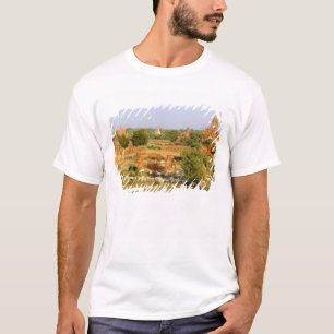 Camiseta Ásia, Mianmar (Birmânia), Bagan (Pagan). Vacas pas
