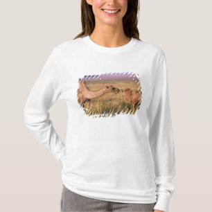 Camiseta Ásia, Mongólia, Deserto de Gobi, Gobi Excelente