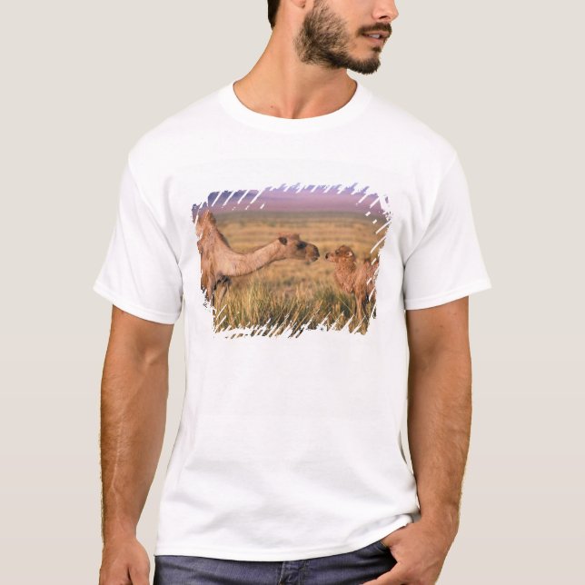 Camiseta Ásia, Mongólia, Deserto de Gobi, Gobi Excelente (Frente)