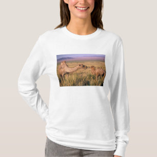 Camiseta Ásia, Mongólia, Deserto de Gobi, Grande Gobi