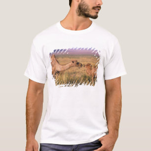 Camiseta Ásia, Mongólia, Deserto de Gobi, Grande Gobi