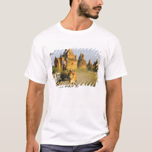 Camiseta Ásia, Myanmar (Birmânia), Bagan (Pagan). Uma carro