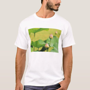 Camiseta Ásia, Tailândia, Banguecoque. Grande Palácio, lótu