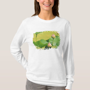 Camiseta Ásia, Tailândia, Banguecoque. Grande Palácio, lótu