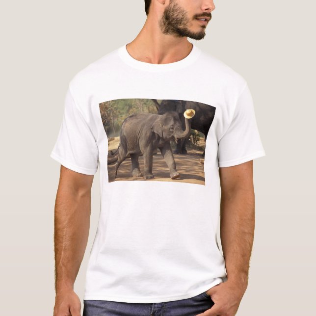 Camiseta Ásia, Tailândia, Lampang Bears com chapéu - Tailan (Frente)