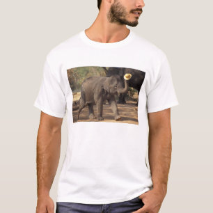 Camiseta Ásia, Tailândia, Lampang Curvando-se com chapéu -