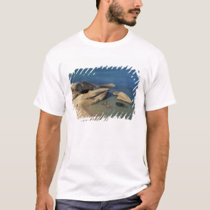 Camiseta Ásia, Tailândia, Samui. Praia