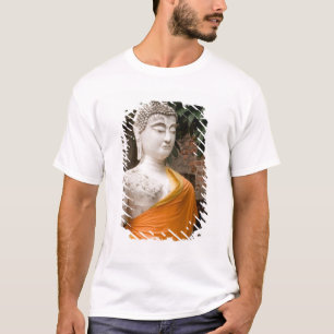 Camiseta Ásia, Tailândia, Sião, Buda em Ayutthaya