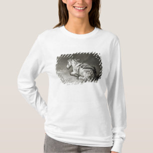 Camiseta Asno em repouso