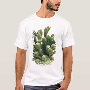 Camiseta Aspargo verde
