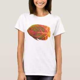 Camiseta Aspen Peixe Tropical 1