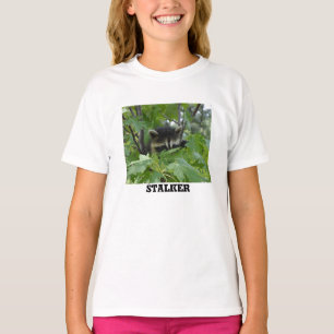 Camiseta Assediador do guaxinim - o t-shirt das mulheres