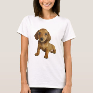 Camiseta Assento bonito do filhote de cachorro do Dachshund