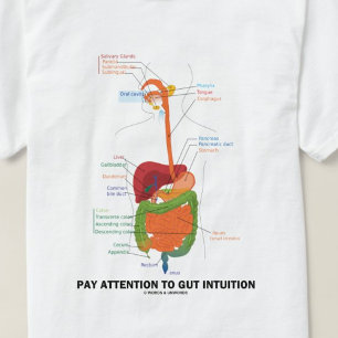 Camiseta Atenção do pagamento à intuição do intestino
