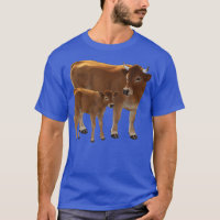 Aubrac ou Jersey Brown Cow Cute Calf Rancho