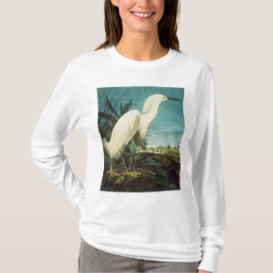 Camiseta Áudio: Egret
