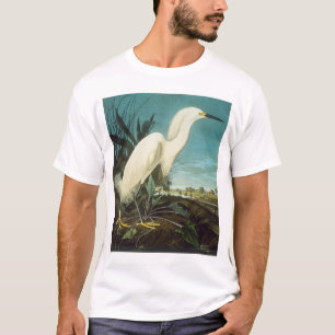 Camiseta Áudio: Egret